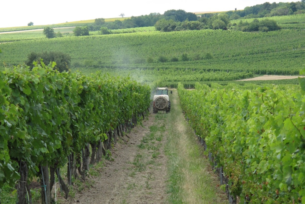 Pflanzenschutzmittel Im Weinbau 2024